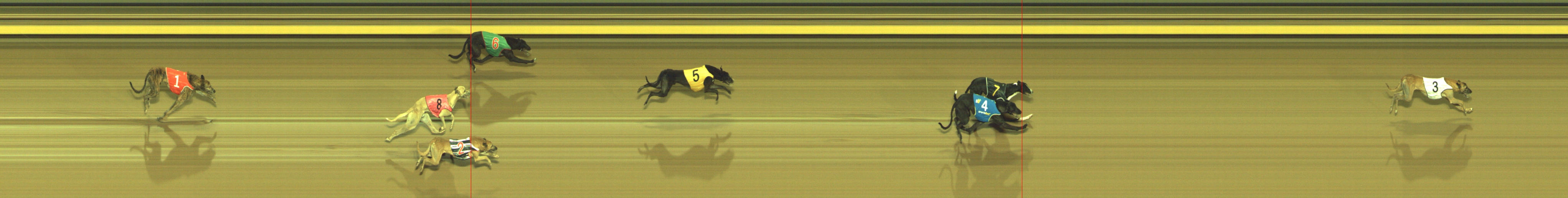 Photo finish for Geelong Race 11
