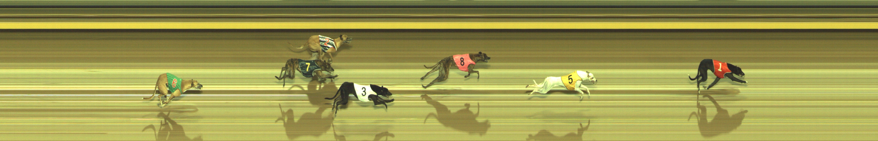 Photo finish for Geelong Race 12