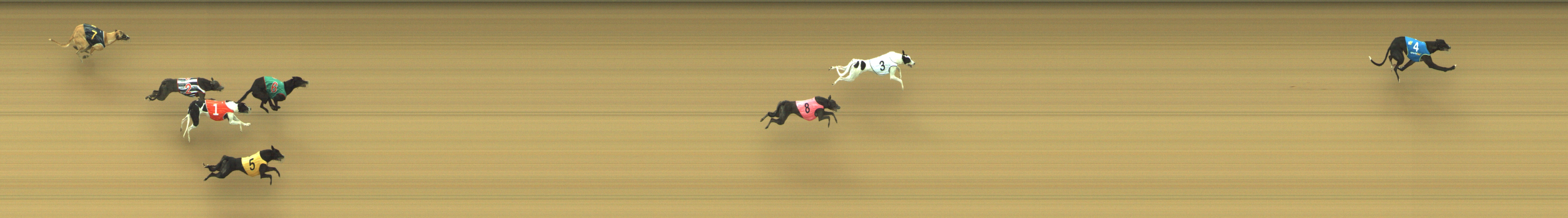 Photo finish for Geelong Race 1