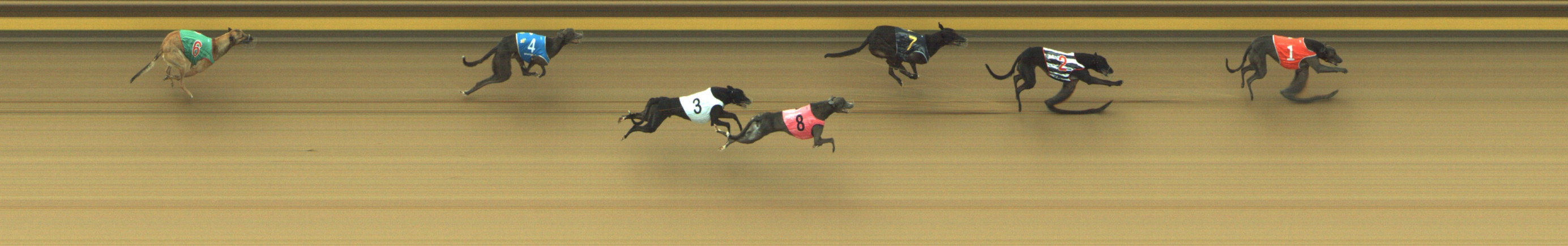 Photo finish for Geelong Race 2
