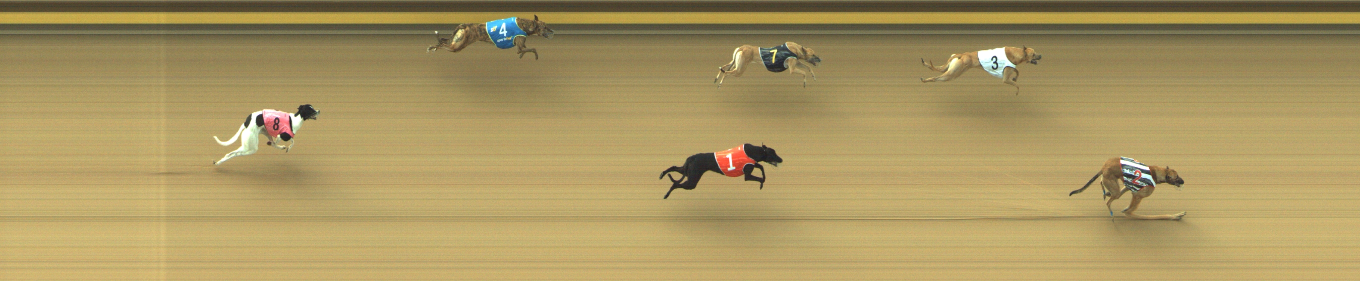 Photo finish for Geelong Race 3