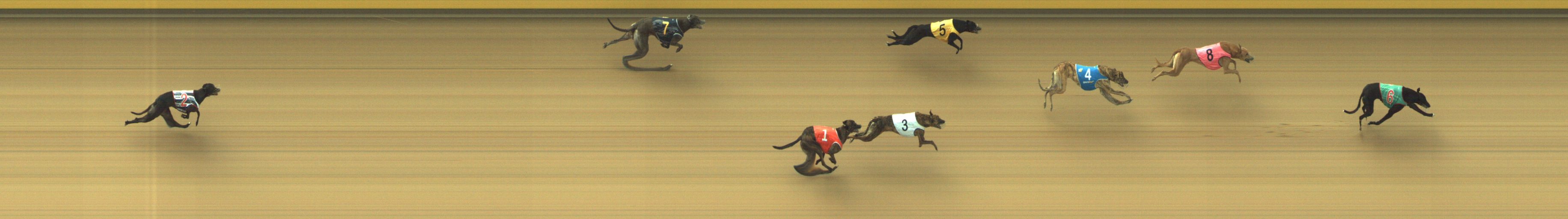 Photo finish for Geelong Race 4