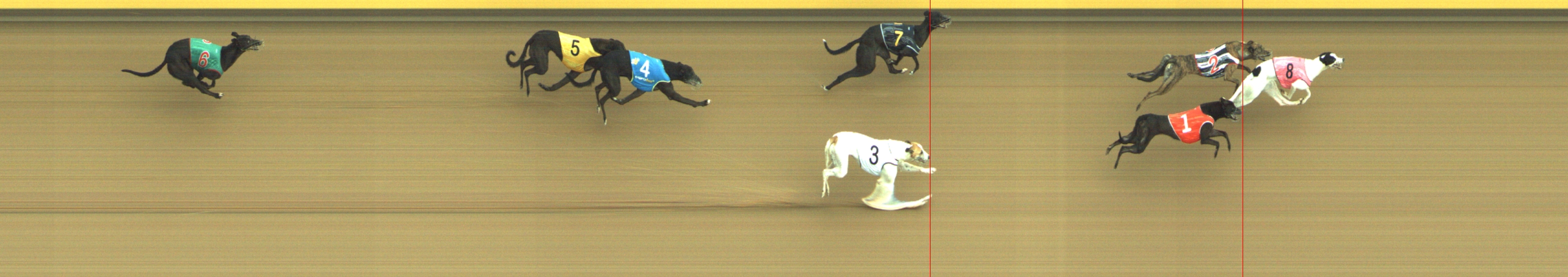 Photo finish for Geelong Race 5