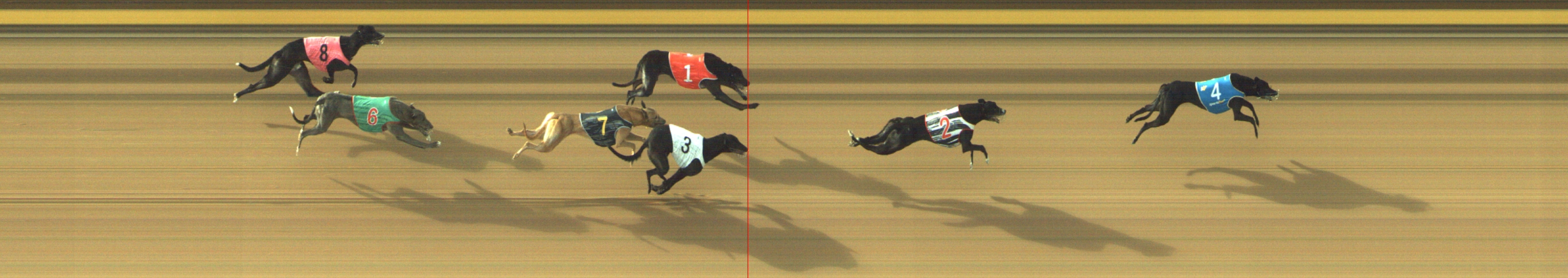 Photo finish for Geelong Race 6