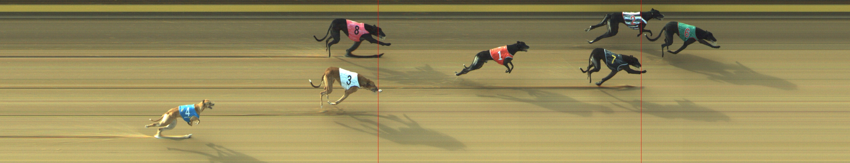 Photo finish for Geelong Race 7