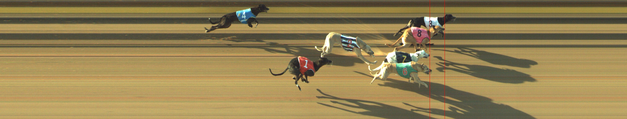Photo finish for Geelong Race 8