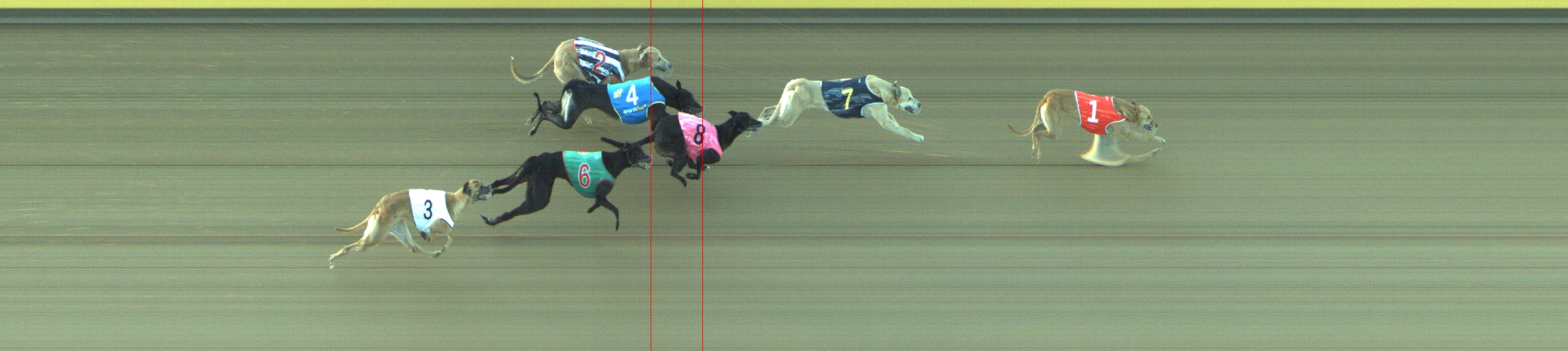Photo finish for Geelong Race 9