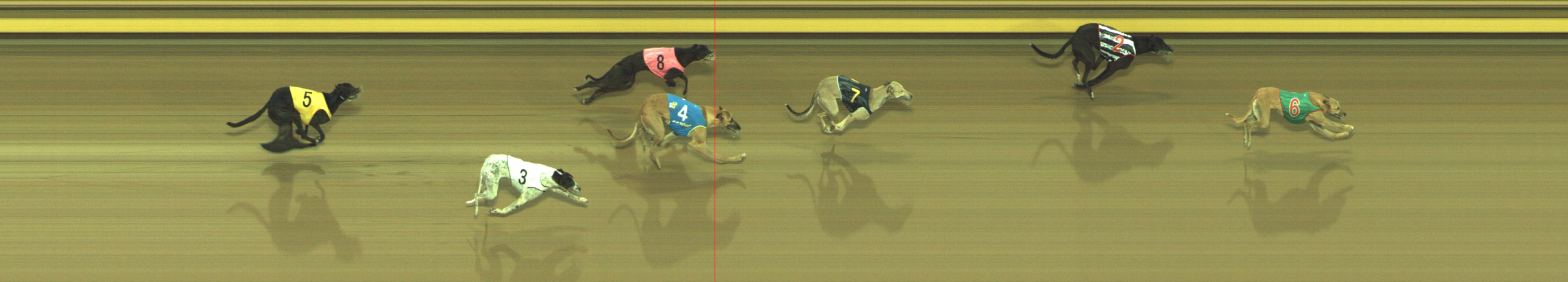 Photo finish for Geelong Race 10