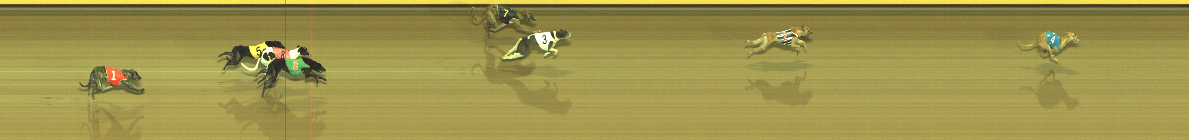 Photo finish for Geelong Race 12