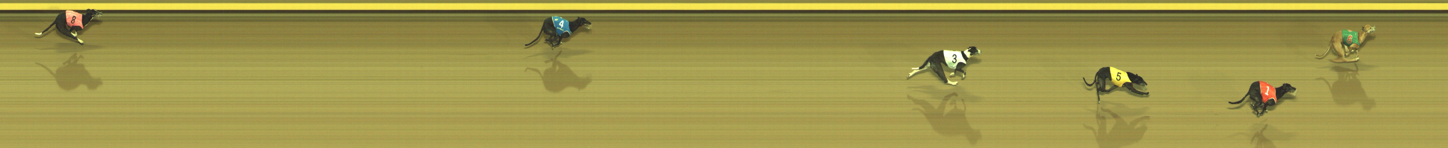 Photo finish for Geelong Race 13