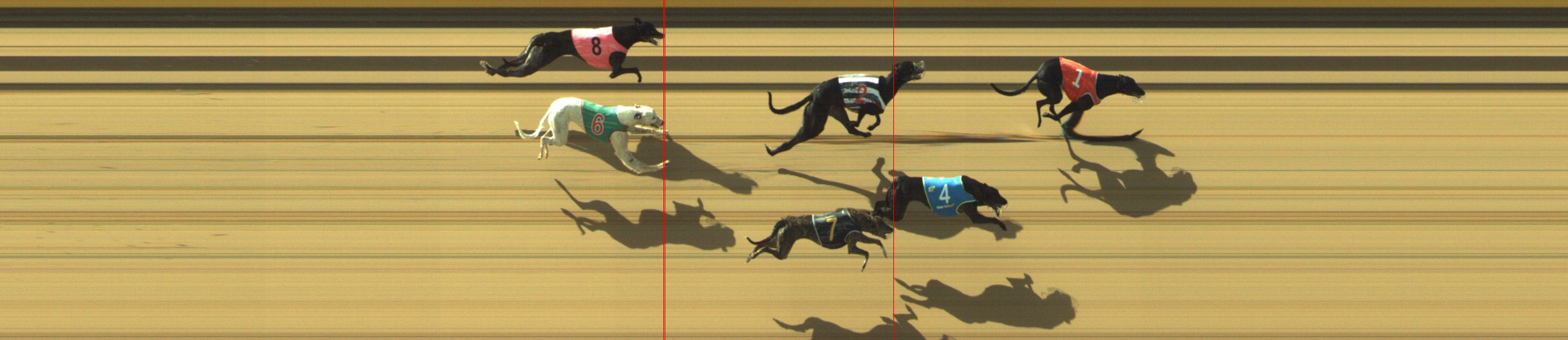 Photo finish for Geelong Race 1