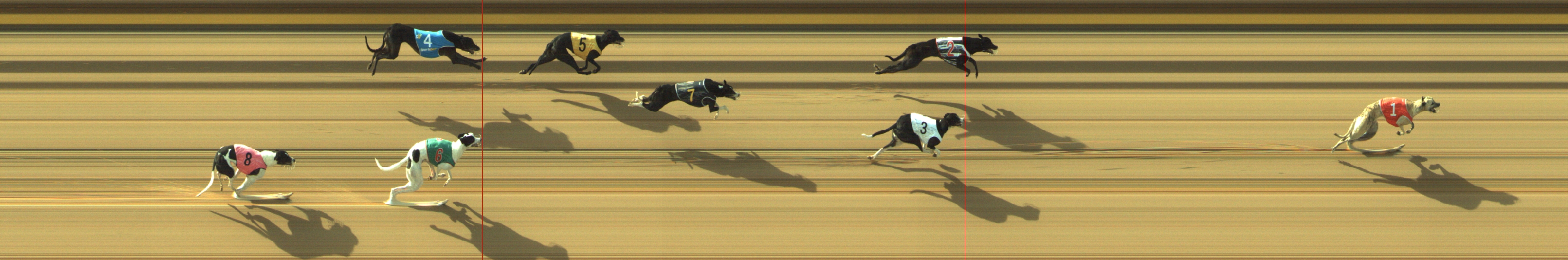 Photo finish for Geelong Race 3