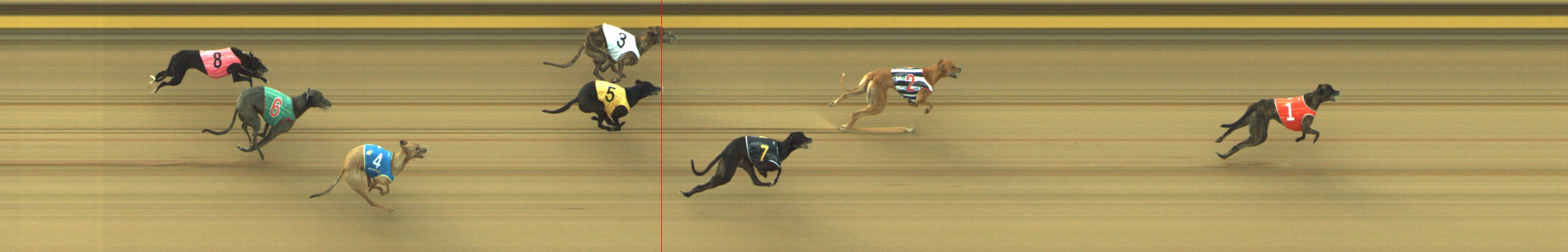 Photo finish for Geelong Race 4