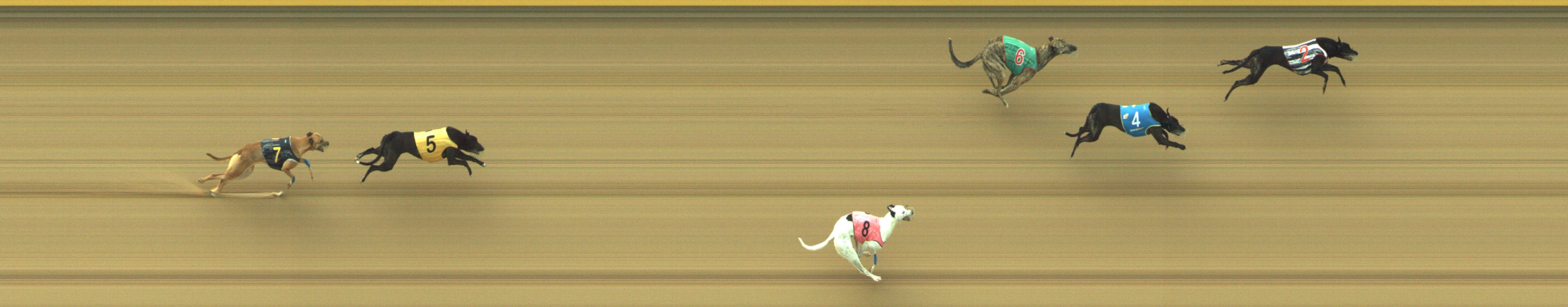 Photo finish for Geelong Race 5