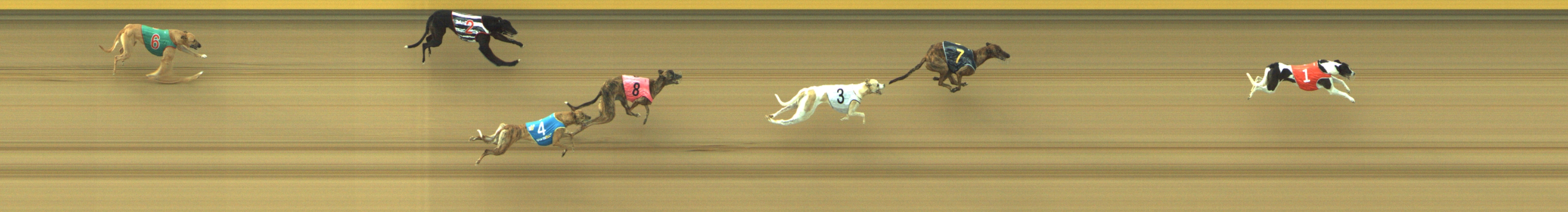 Photo finish for Geelong Race 6
