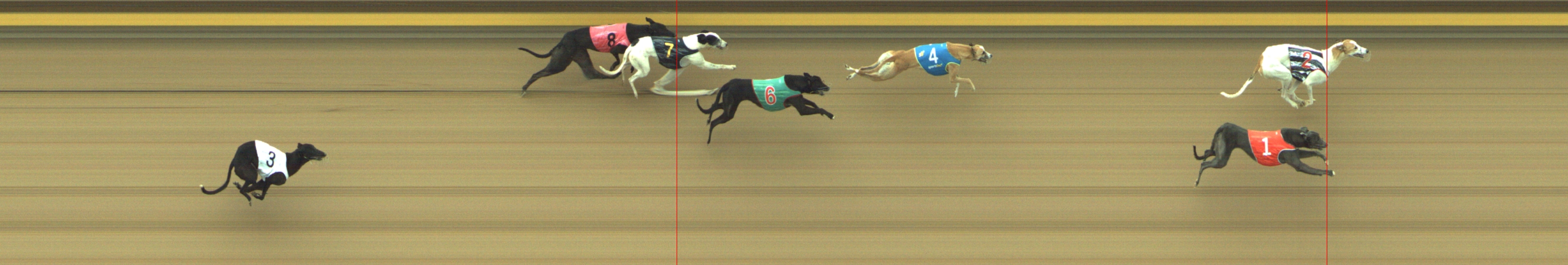 Photo finish for Geelong Race 7