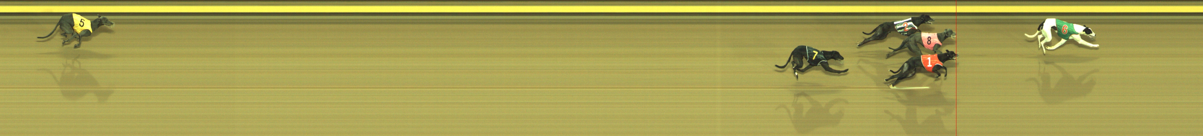 Photo finish for Geelong Race 8