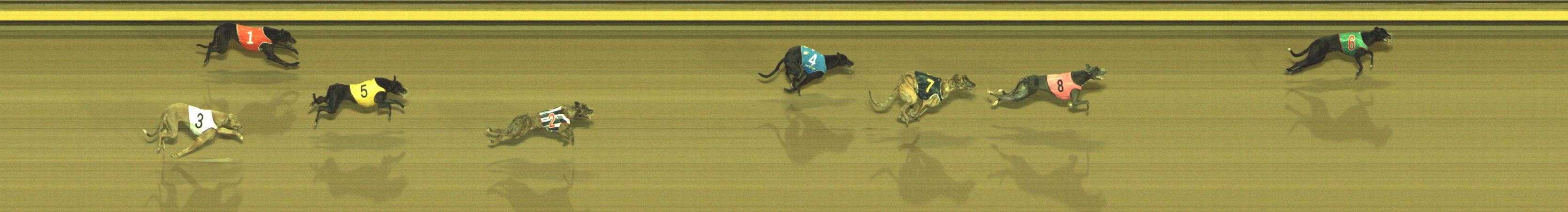 Photo finish for Geelong Race 10