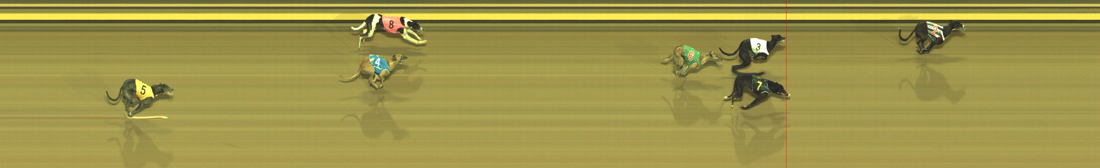 Photo finish for Geelong Race 11