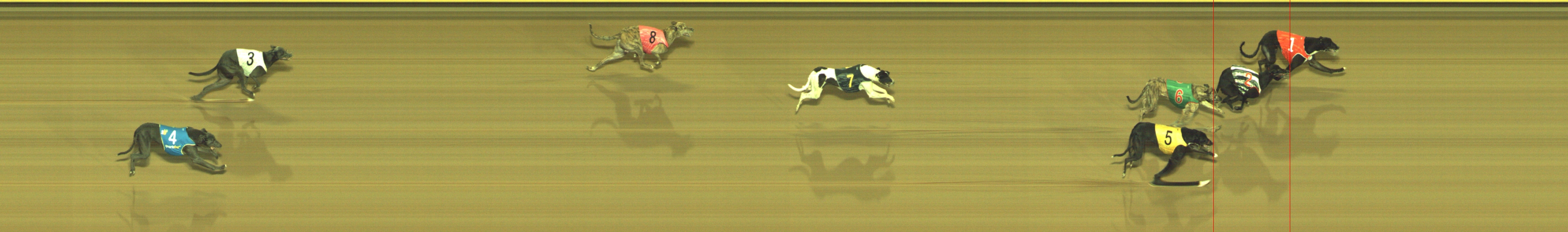 Photo finish for Geelong Race 12