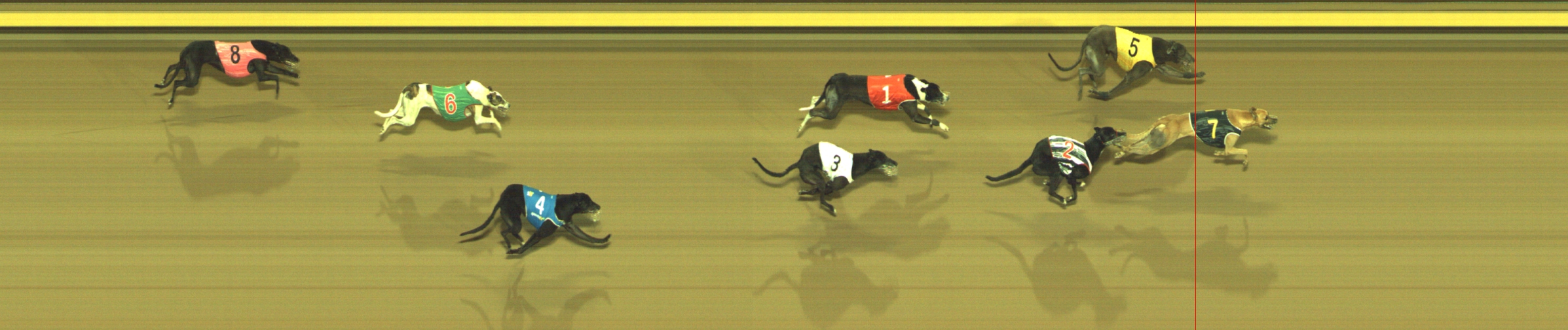 Photo finish for Geelong Race 13