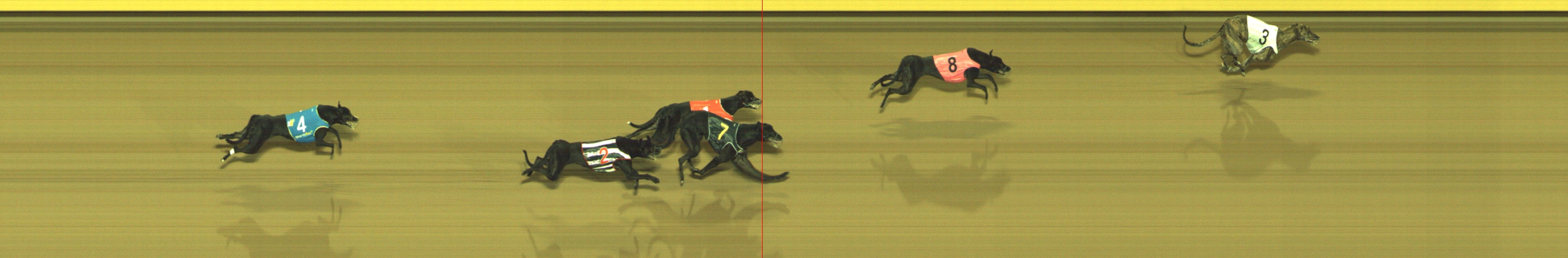 Photo finish for Geelong Race 1