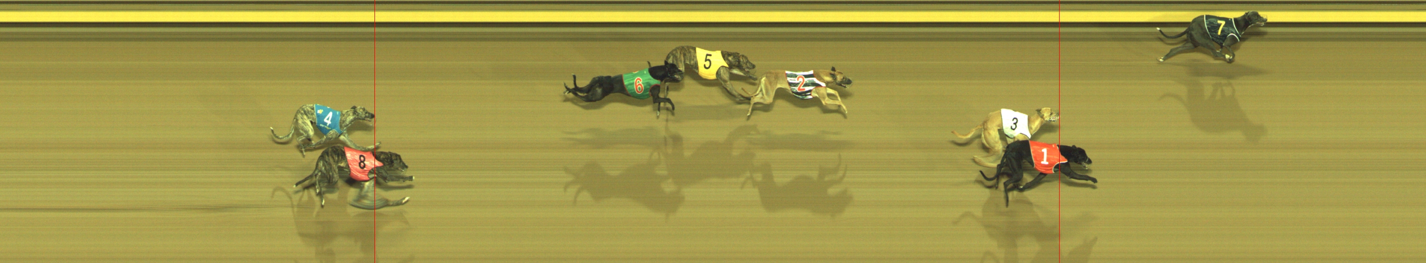 Photo finish for Geelong Race 2