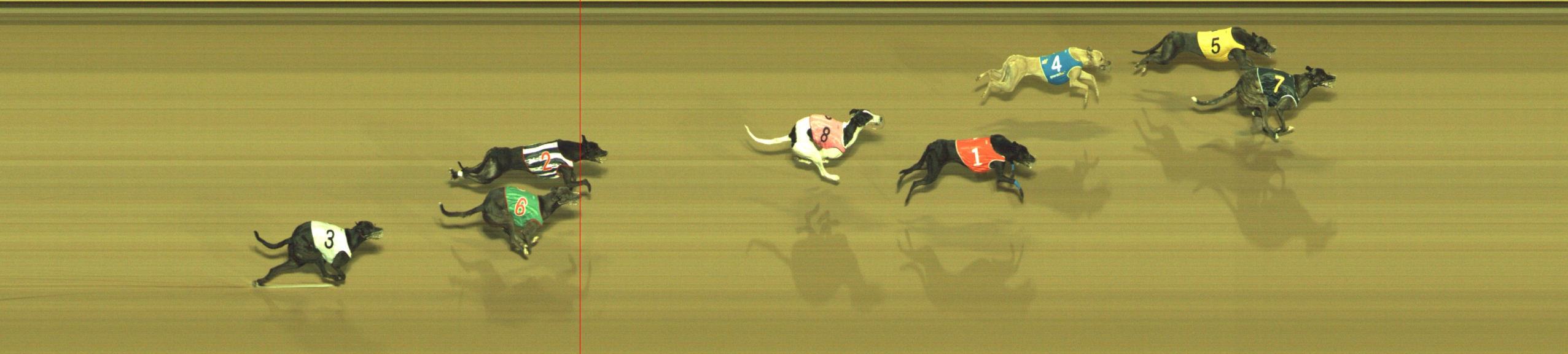 Photo finish for Geelong Race 3