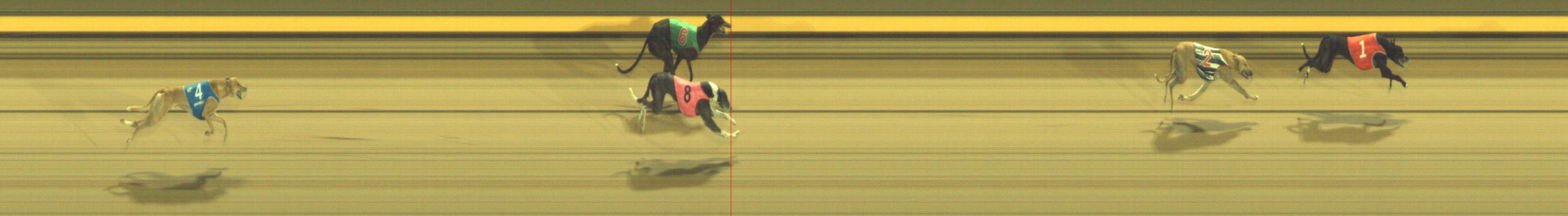 Photo finish for Geelong Race 4