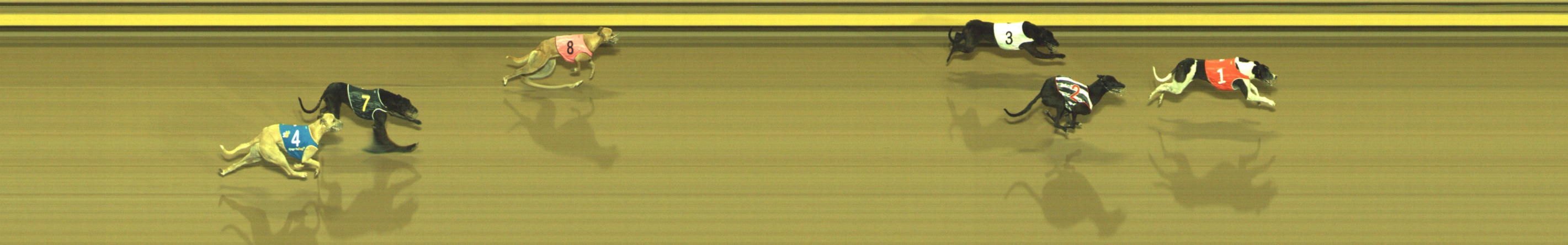Photo finish for Geelong Race 5