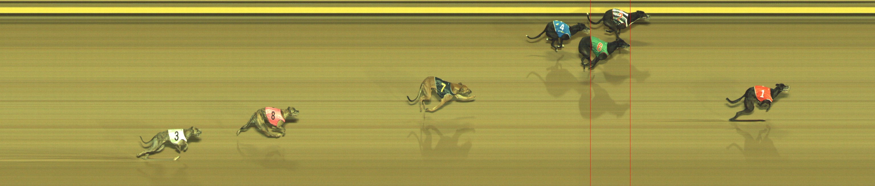Photo finish for Geelong Race 6