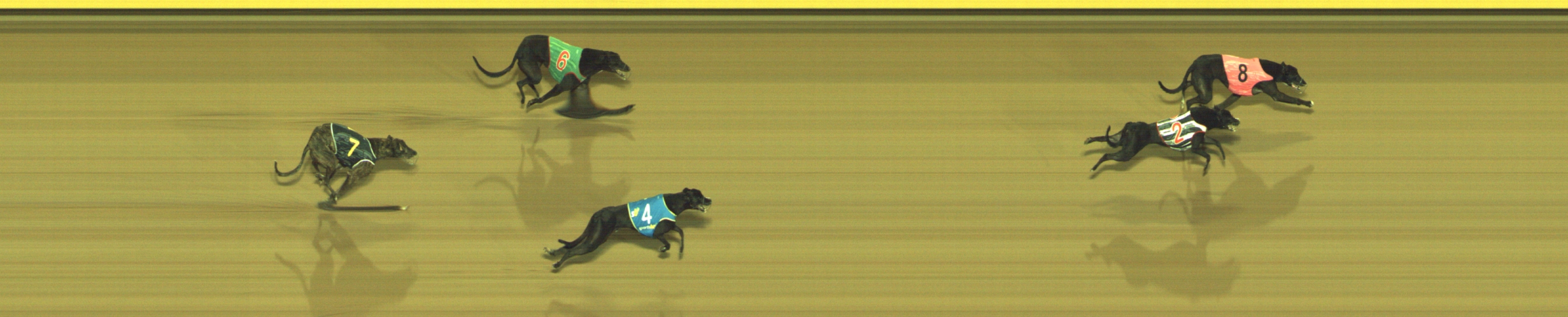 Photo finish for Geelong Race 7