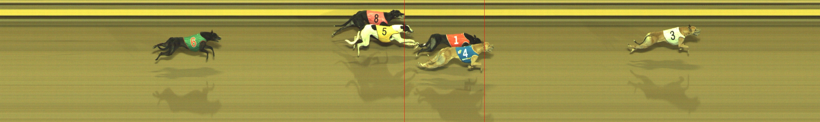 Photo finish for Geelong Race 8