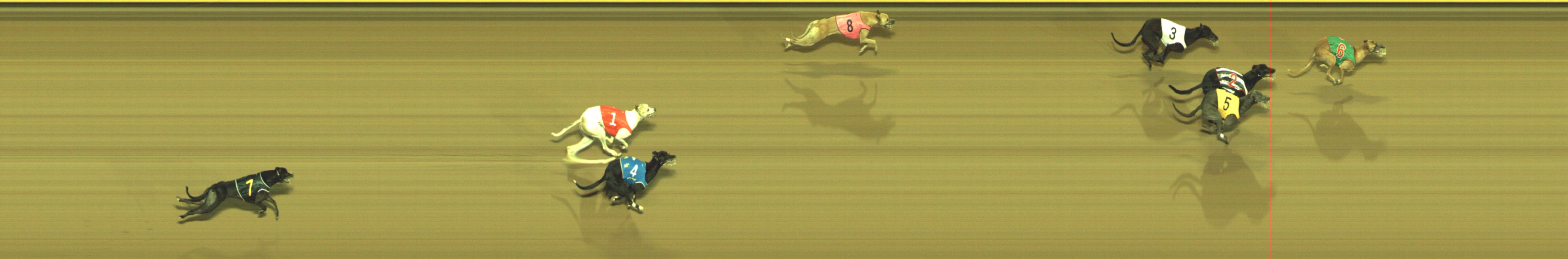 Photo finish for Geelong Race 9