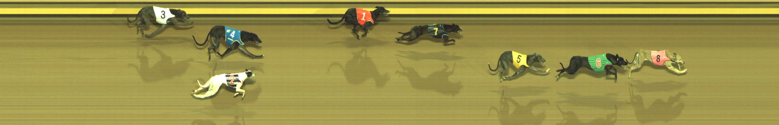 Photo finish for Geelong Race 10