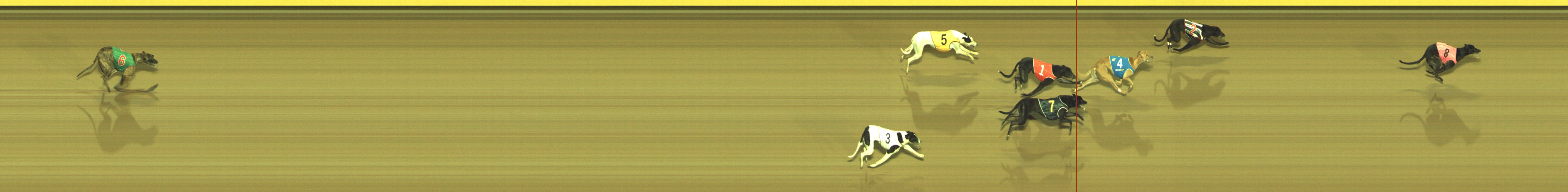 Photo finish for Geelong Race 11