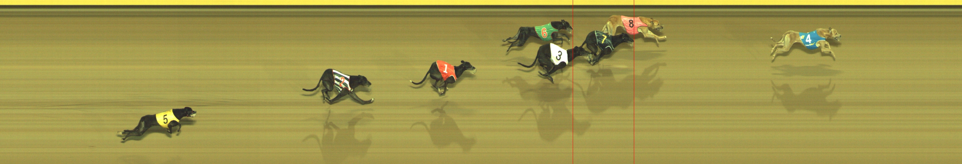 Photo finish for Geelong Race 12