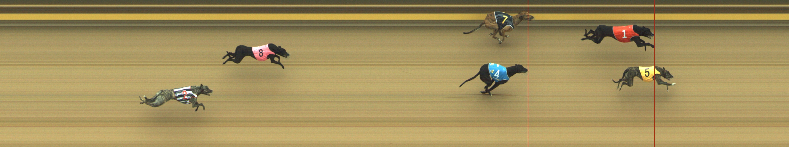Photo finish for Geelong Race 1