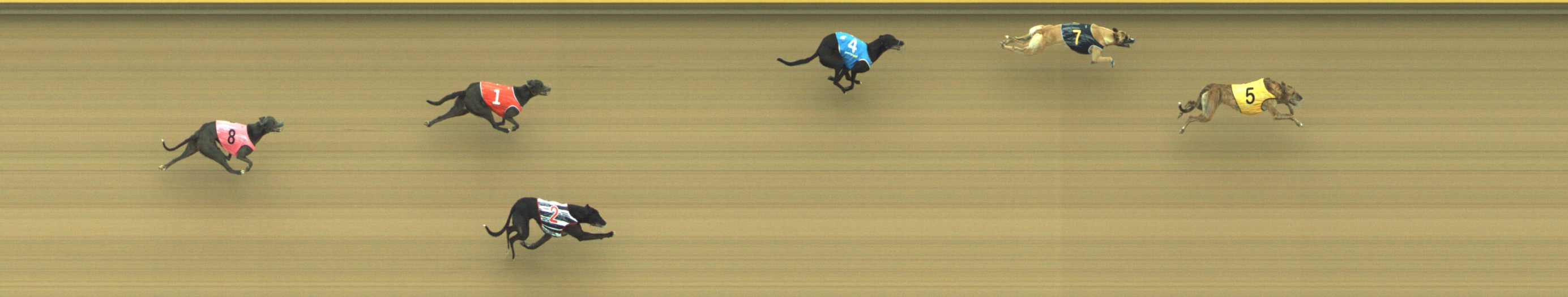 Photo finish for Geelong Race 2