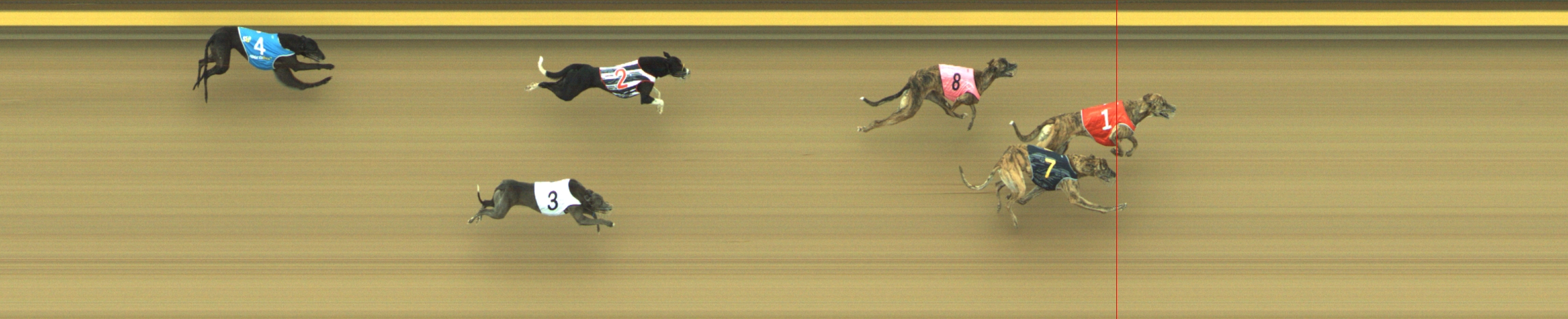 Photo finish for Geelong Race 3