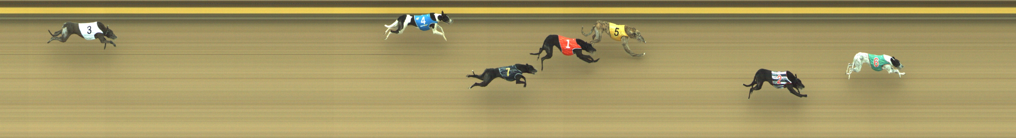 Photo finish for Geelong Race 4