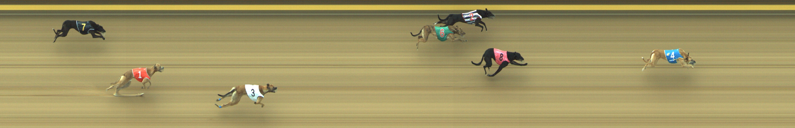 Photo finish for Geelong Race 5