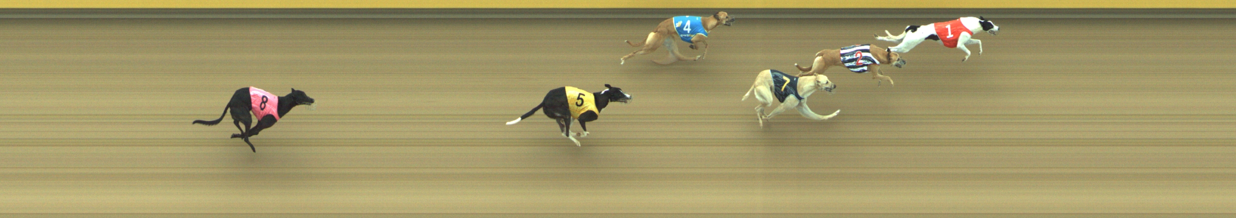 Photo finish for Geelong Race 6