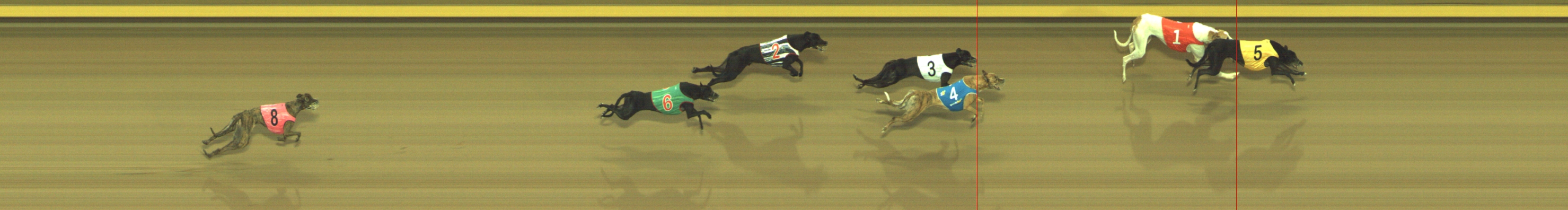 Photo finish for Geelong Race 7