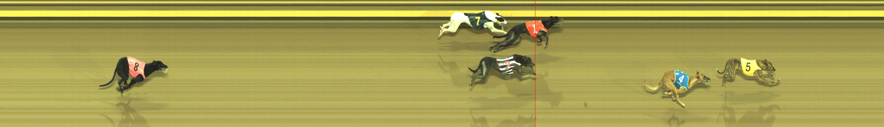 Photo finish for Geelong Race 8