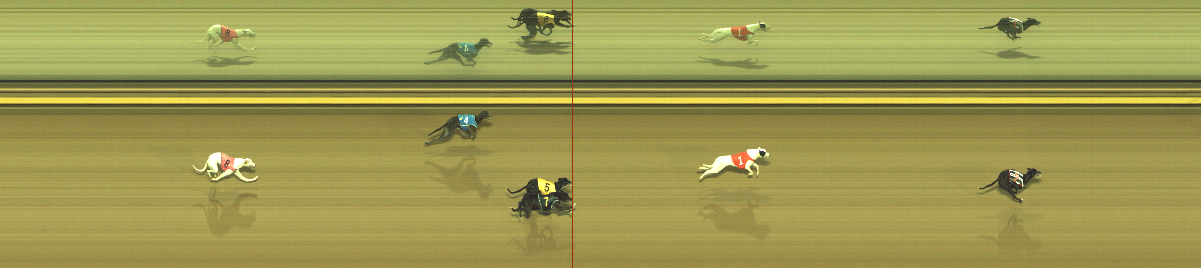 Photo finish for Geelong Race 9