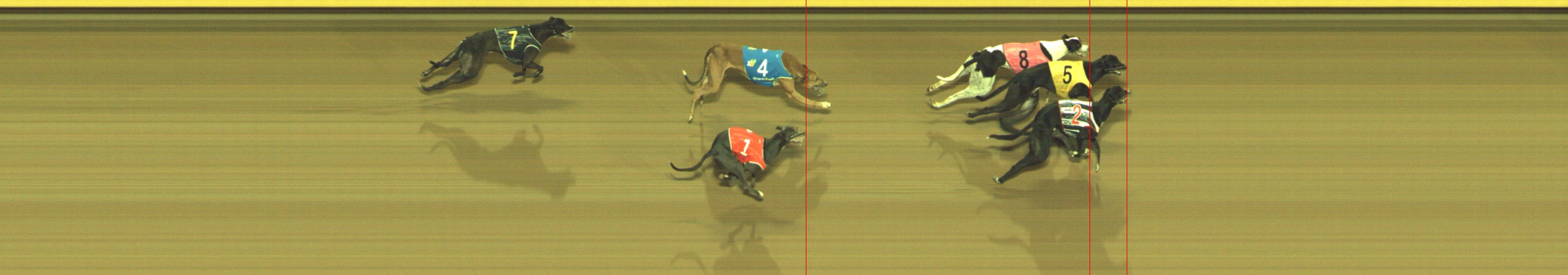 Photo finish for Geelong Race 10