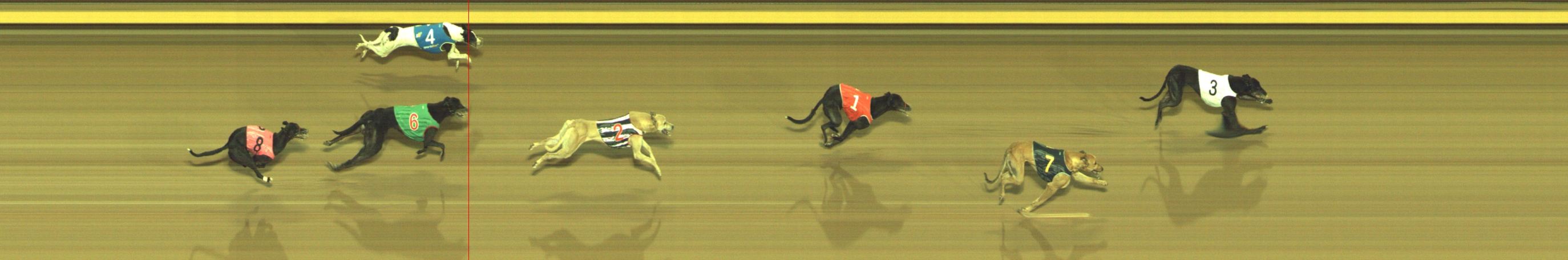 Photo finish for Geelong Race 11