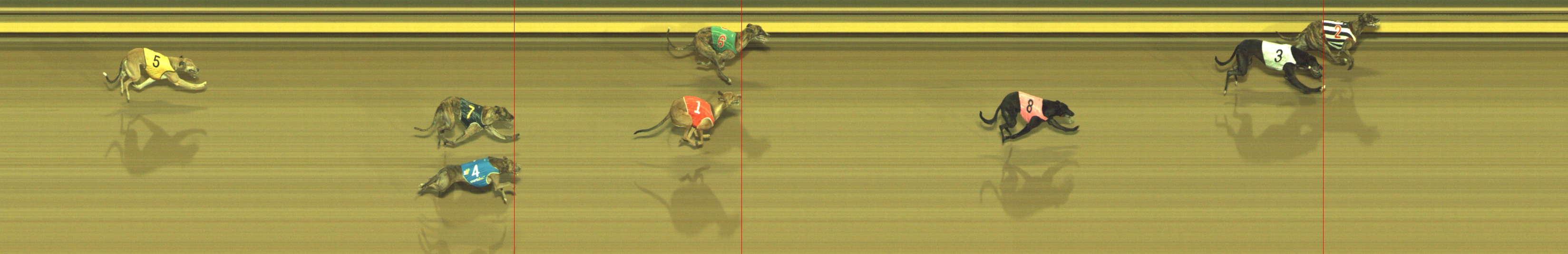 Photo finish for Geelong Race 12