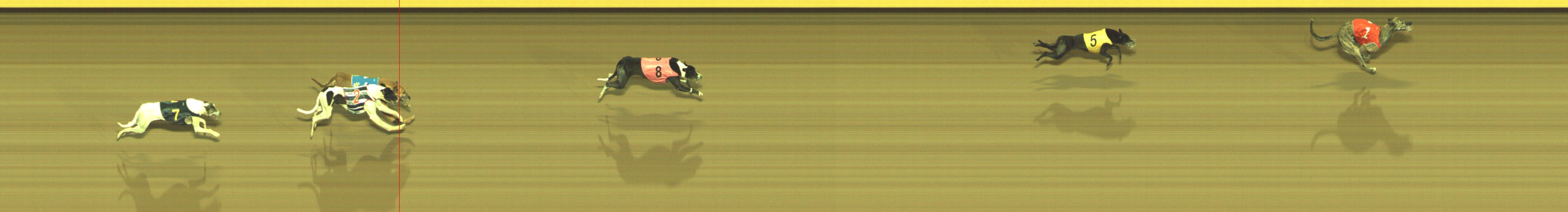 Photo finish for Geelong Race 13